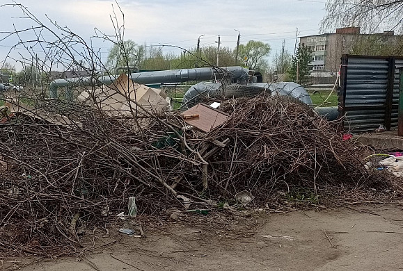 Жители Заволжска жалуются на кучу мусора, лежащую уже третий год